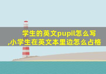 学生的英文pupil怎么写,小学生在英文本里边怎么占格