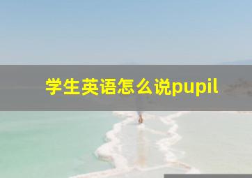 学生英语怎么说pupil