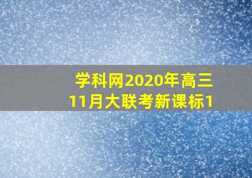 学科网2020年高三11月大联考新课标1