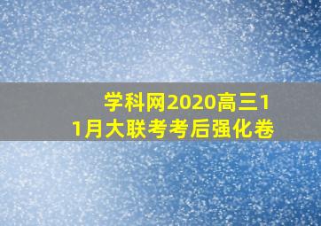 学科网2020高三11月大联考考后强化卷