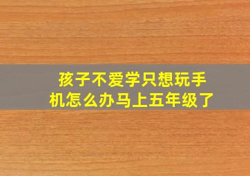 孩子不爱学只想玩手机怎么办马上五年级了