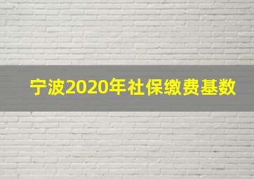 宁波2020年社保缴费基数