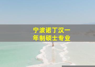 宁波诺丁汉一年制硕士专业