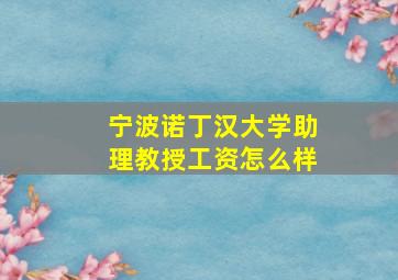 宁波诺丁汉大学助理教授工资怎么样