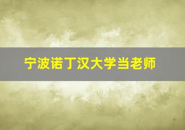 宁波诺丁汉大学当老师