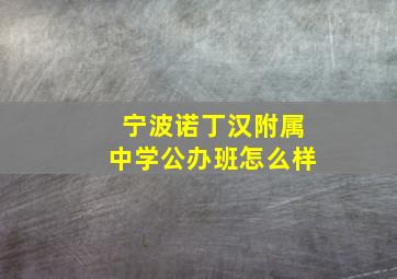 宁波诺丁汉附属中学公办班怎么样