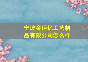 宁波金佰亿工艺制品有限公司怎么样