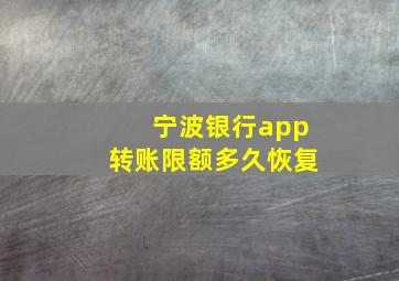 宁波银行app转账限额多久恢复