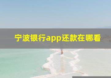 宁波银行app还款在哪看