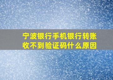 宁波银行手机银行转账收不到验证码什么原因