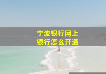 宁波银行网上银行怎么开通