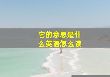 它的意思是什么英语怎么读