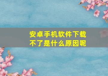 安卓手机软件下载不了是什么原因呢