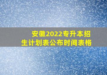 安徽2022专升本招生计划表公布时间表格