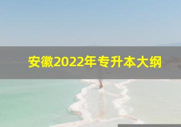 安徽2022年专升本大纲