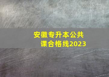 安徽专升本公共课合格线2023