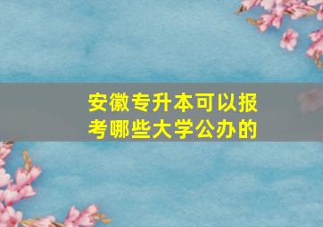 安徽专升本可以报考哪些大学公办的