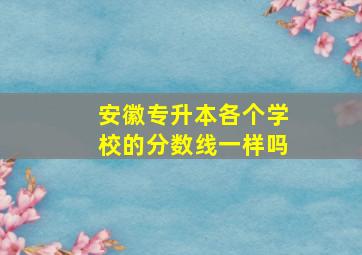 安徽专升本各个学校的分数线一样吗