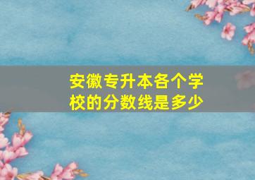 安徽专升本各个学校的分数线是多少