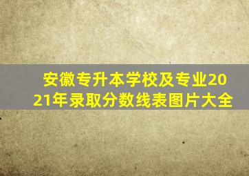 安徽专升本学校及专业2021年录取分数线表图片大全