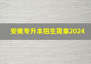 安徽专升本招生简章2024