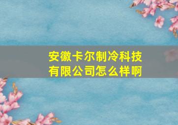 安徽卡尔制冷科技有限公司怎么样啊