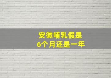 安徽哺乳假是6个月还是一年