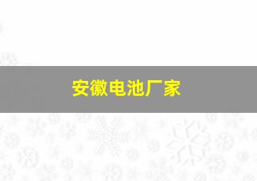 安徽电池厂家