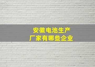 安徽电池生产厂家有哪些企业