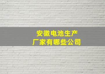 安徽电池生产厂家有哪些公司