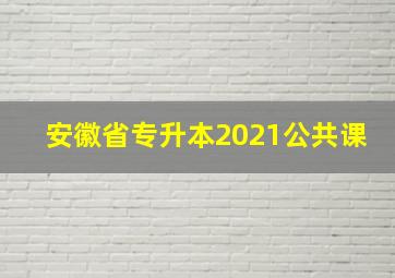 安徽省专升本2021公共课