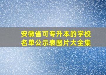 安徽省可专升本的学校名单公示表图片大全集