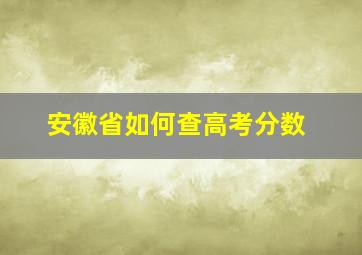 安徽省如何查高考分数