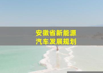 安徽省新能源汽车发展规划