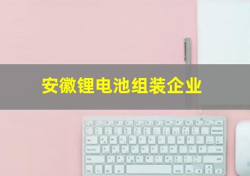 安徽锂电池组装企业