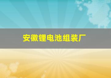 安徽锂电池组装厂