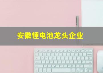 安徽锂电池龙头企业