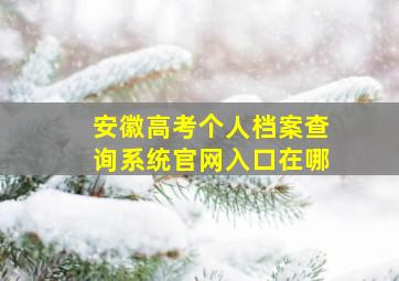 安徽高考个人档案查询系统官网入口在哪