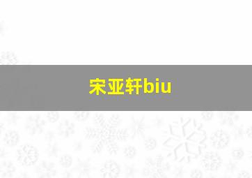 宋亚轩biu