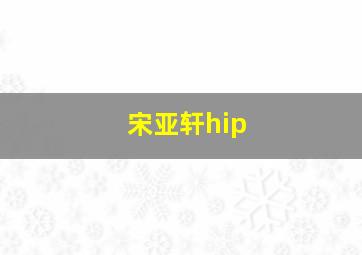 宋亚轩hip