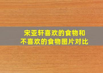 宋亚轩喜欢的食物和不喜欢的食物图片对比