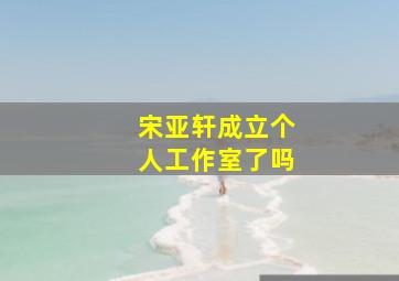 宋亚轩成立个人工作室了吗