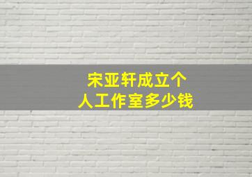 宋亚轩成立个人工作室多少钱