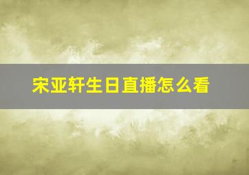 宋亚轩生日直播怎么看