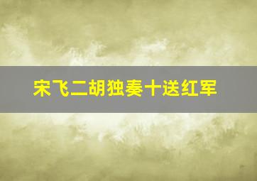 宋飞二胡独奏十送红军