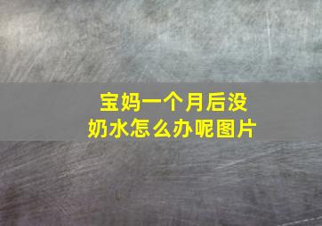 宝妈一个月后没奶水怎么办呢图片