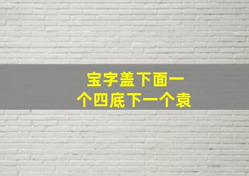 宝字盖下面一个四底下一个袁