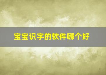 宝宝识字的软件哪个好