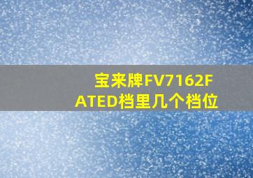 宝来牌FV7162FATED档里几个档位