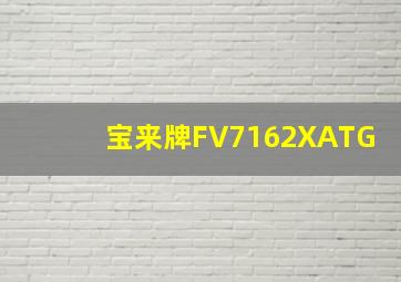 宝来牌FV7162XATG